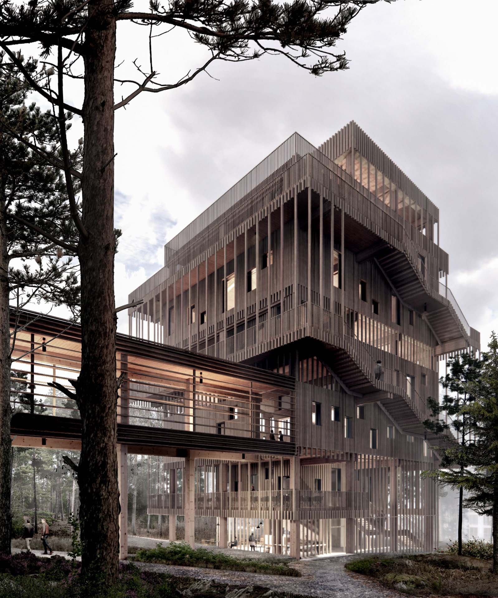 Drawing of the Year Competition Winners Announced